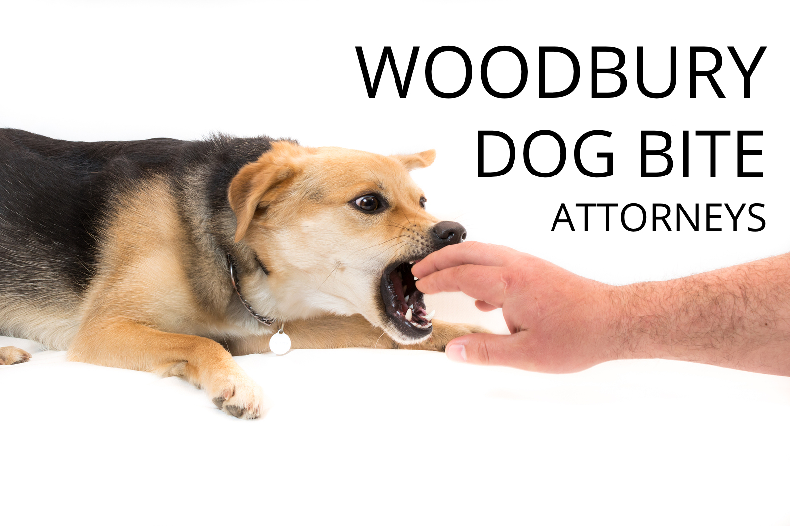 WOOBURY DOG BITE ATTORNEYS - SAND LAW LLC - MINNESOTA.jpg