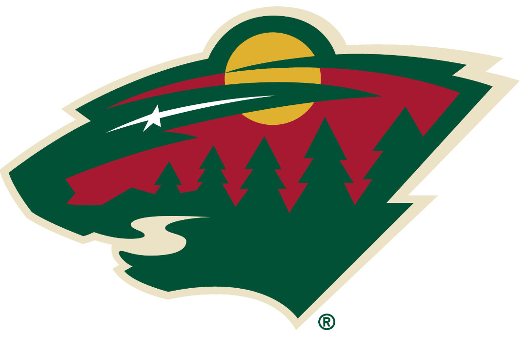 9 by 6 Minnesota Wild Logo - Sand Law